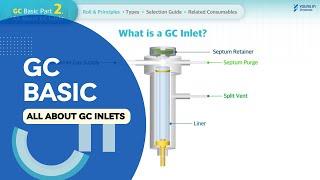 Basic of GC_Part 2 : All About GC Inlets