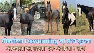 Horse deworming