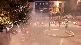Inici coetá del gos betera, 2019