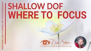 Where to put your focus point - shallow DOF