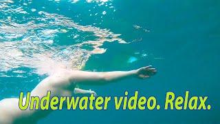 Underwater video. Adriatic Sea. Montenegro. Travel. Mila Naturist.