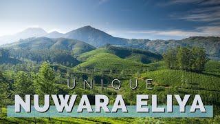 Nuwara Eliya | Sri Lanka | Travel Guide 