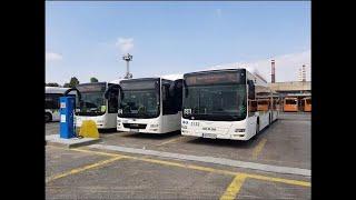 Sofia. Free bus line Business Park Station - Sofia Ring Mall. August 2024