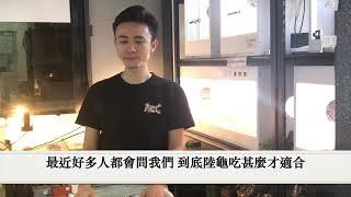 [AOG Channel] 新手必睇！陸龜食物小建議