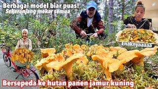 BERSEPEDA KE HUTAN PANEN BANYAK JAMUR KUNING PADA MEKAR DAN DI OSENG SAMA TAHU BUNCIS