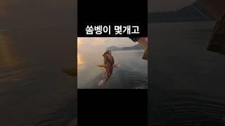 심심하진 않았어 덕분에..^_^