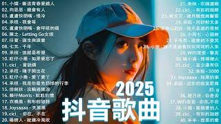 一月熱門歌曲最火2025流行歌曲【抖音破億神曲】Tiktok 抖音感動洗腦精選神曲必聽 : 承桓 - 總是會有人, 小燦 - 斷送青春愛錯人, 承桓 - 我會等, 錯位時空, en - 他不懂