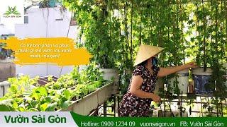 Cô Vỹ bón phân và phun thuốc gì mà vườn rau xanh mướt, trĩu quả?