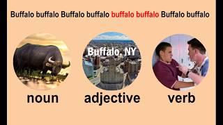 One-word Sentences: Buffalo buffalo Buffalo