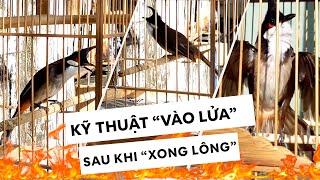 KÍCH CHÀO MÀO CĂNG LỬA TRONG MỘT THÁNG! 