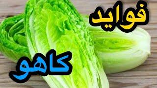 ۱۰ خواص کاهو برای سلامتی بدن