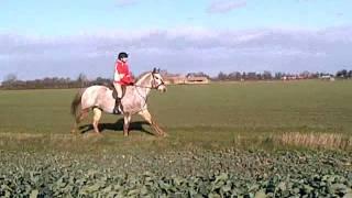 Izzie & Breeze XC