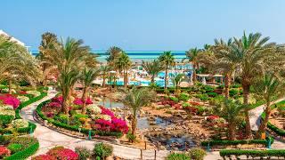 Ägypten-Urlaub Deluxe - Erlebe das Mövenpick Resort & Spa El Gouna hautnah!