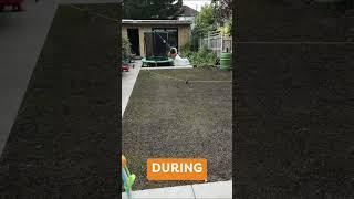 Lawn transformation with The Lawn Pack!