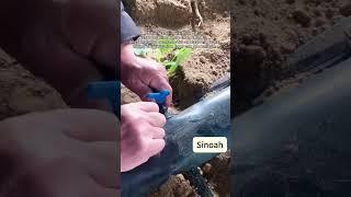 Sinoa drip irrigation pipe production line can produce this pipe for agriculture #dripirrigation