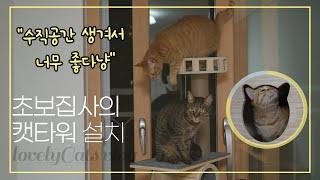 [하나네찌 남매냥 Vlog]캣타워가 생겼어요! 초보집사의 캣타워 설치