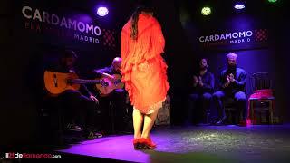 Paula Rodriguez en Tablao Cardamomo Flamenco