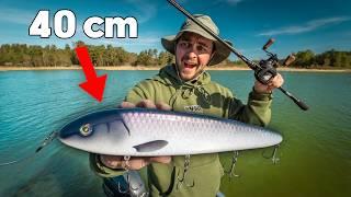 Fishing a 40 cm Glider for AGGRESSIVE Pike... 