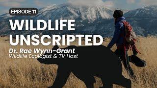 Ep 11 Dr Rae Wynn Grant - Wildlife Ecologist & TV Host