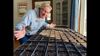 Starting Vegetable Seeds Indoors | Tips For Success & Issues To Avoid