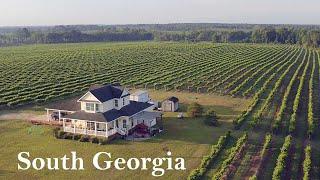 House in the Vineyards! Family-owned Winery in South Georgia