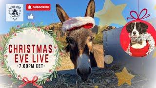 Christmas Eve LIVE 24th Dec 2024