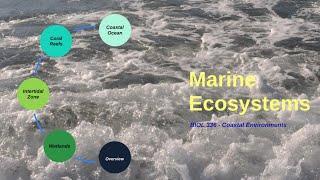 Marine Ecosystems