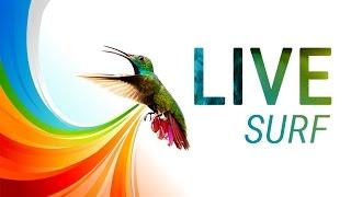 Раскрутка сайтов с LIVEsurf