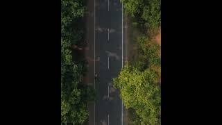 Flo Rida - Whistle | DJI Mini 2 Cinematic 4K Video