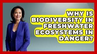 Why Is Biodiversity in Freshwater Ecosystems in Danger? - Ecosystem Essentials