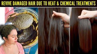 Revive Damaged Hair Due To Heat & Chemical Treatments | Best homemade hair mask for damaged hair