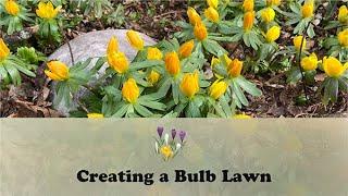 Creating a Bulb Lawn | Let's Grow Stuff