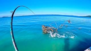 INSANE Coastal SIGHT FISHING