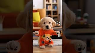 Dog Motorcycle Dance  #dogdance #petdance #dogfashion #puppydance