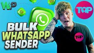Bulk Whatsapp Sender  How can I send WhatsApp Messages to 10000 Contacts?