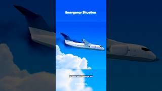 Is this plane aviation technology will be the future ?