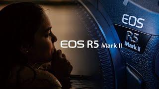 캐논 플래그십 하이브리드 바디 EOS R5 Mark2 실사용 리뷰