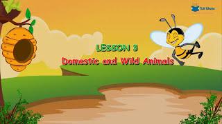 Domestic and wild animals for kids | Graidup kids