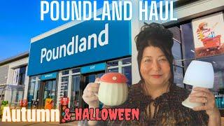 **NEW IN ** POUNDLAND HAUL 