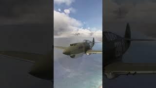 USAAF P-40 Hunting for Zeroes #aviation #shorts #warbirds