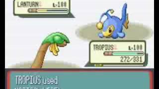 Pokemon Sapphire: Battle Tower ↔ Fighting the last trainer..