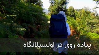 طبیعت گردی در ایران | ویدئوی پیاده روی در جنگل های شمال ایران | پیاده روی در طبیعت اولسبلانگاه