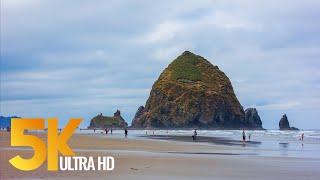 Pacific Northwest. Part #1 - Coastal Oregon - Views of the Ocean in 5K - 3 HOUR Relaxation Video