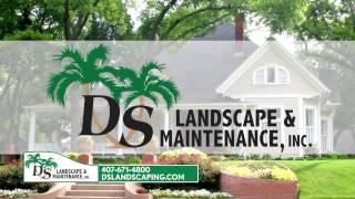 Lawn and Landscape Maintenance Company in Casselberry Florida -- D S  Landscape Maintenance