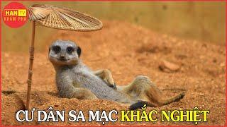 Những Cư Dân Sa Mạc Kalahari Khắc Nghiệt