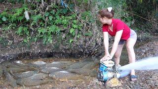 Fishing Videos Asian: The Girl Use Cannon Pump Sucks Water, Catch Many Fish In Lake | Girl Fishing