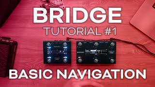 BRIDGE Tutorial #1 - Basic Navigation