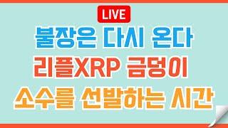 [#153]  리플XRP 보물을 원하는 자~! 리또속을 견뎌내라  #비트코인 #리플 #코인 #xrp #도지코인 #이더리움 #헤데라