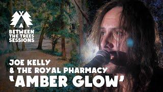 Joe Kelly & the Royal Pharmacy 'Amber Glow' LIVE SESSION | Between the Trees Sessions