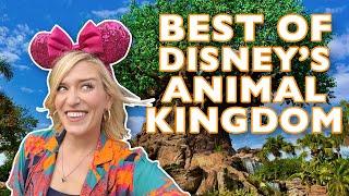 YOU Picked Our BEST Day In Disney World: Animal Kingdom | Rides, Snacks, Shows